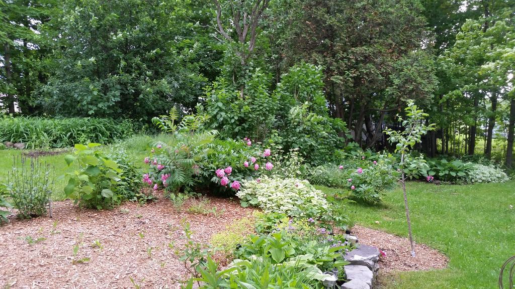 La Maison Ancestrale Guerard Saint-Laurent-de-l'ile d'Orleans Eksteriør billede